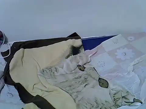 springly_love webcam