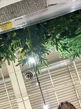 BallerinaCappuccino_ webcam