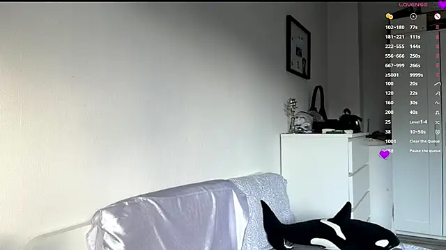 MaydaCornwall webcam