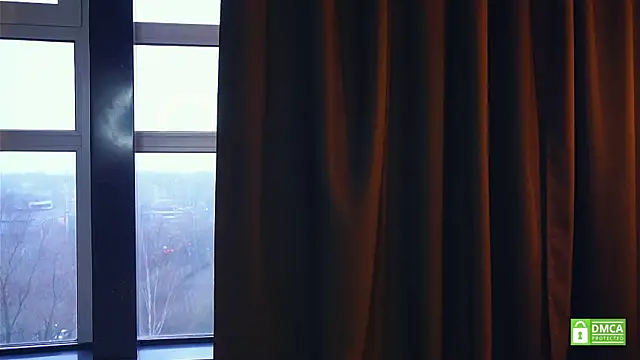 VerniceEngelking webcam