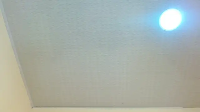 JessicaRabbit04 webcam