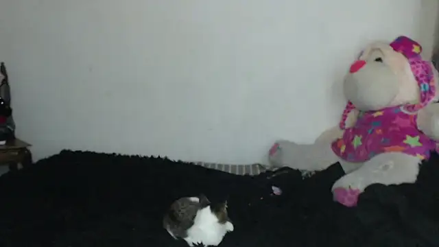 skinny_sweet2411 webcam