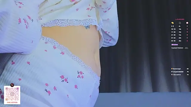 VirginiaHouston webcam