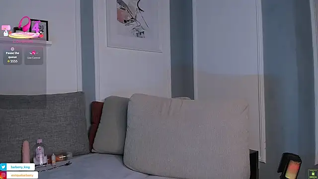 EnriqueBarberry webcam