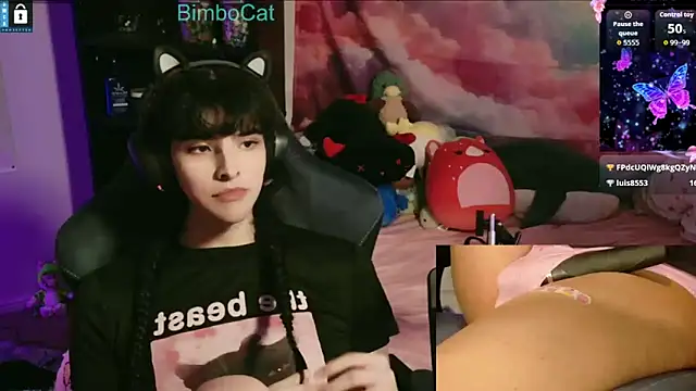 BimboCat webcam