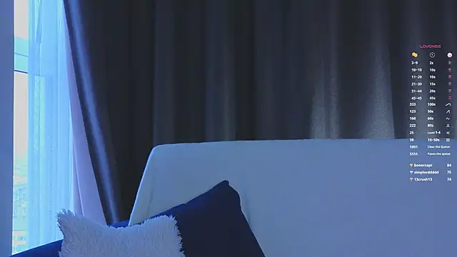 VirginiaHouston webcam