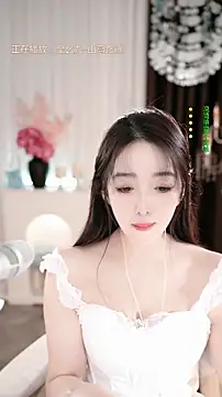 WenBao-Bao webcam