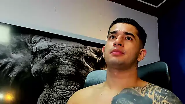 king_falconer webcam