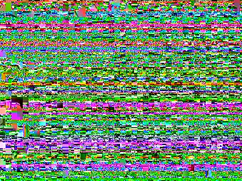 barbiepartytrans1 webcam