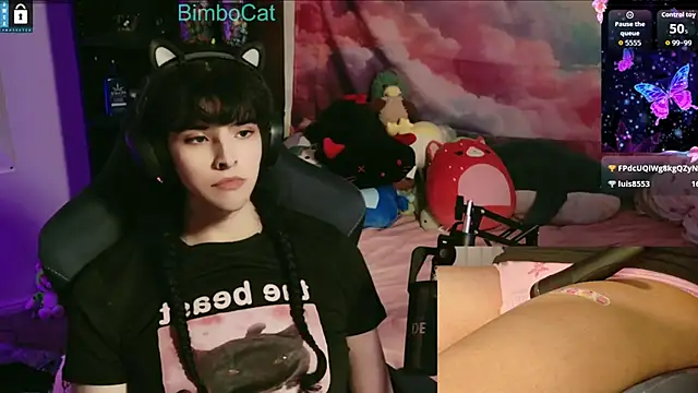 BimboCat webcam