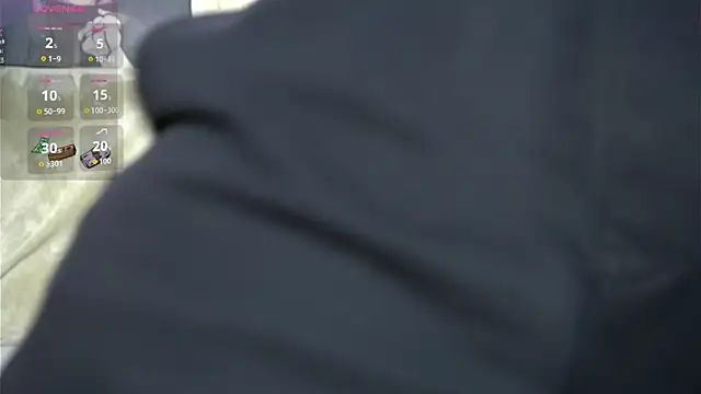 johnstoneisland webcam