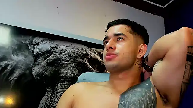 king_falconer webcam