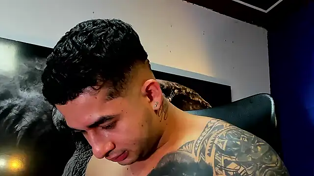 king_falconer webcam