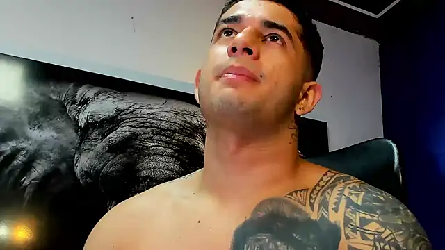 king_falconer webcam