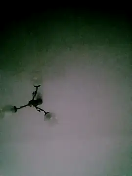 Apeesynka55211 webcam