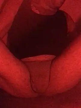 RomaLovesFamily webcam