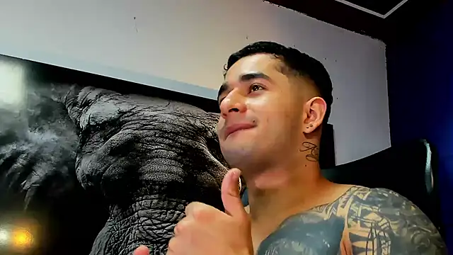 king_falconer webcam