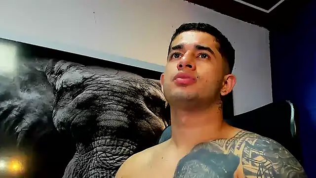 king_falconer webcam