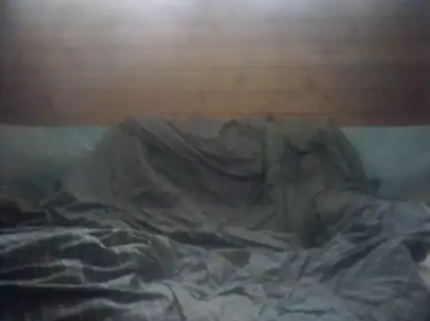 AmnesicEminence webcam