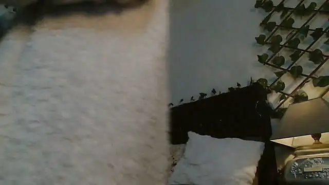 Dama_Scarlata18 webcam