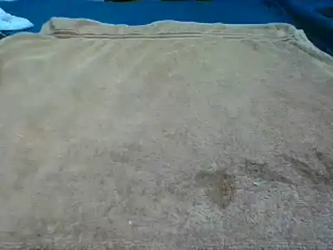 7_INCH_MONSTER webcam