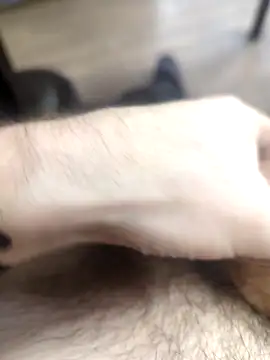 lucky_swimmer webcam