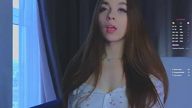 VirginiaHouston webcam