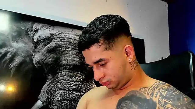 king_falconer webcam