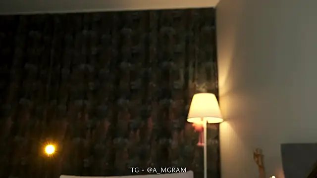 disco_elysium webcam