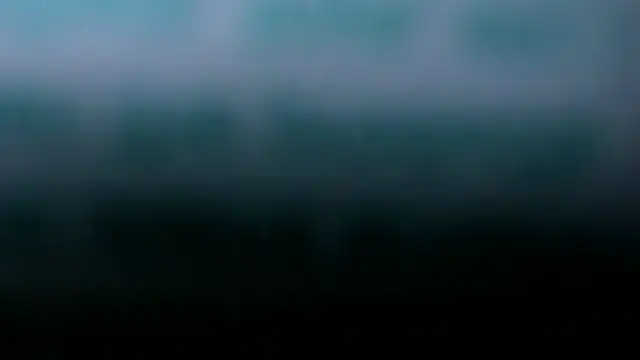 AsianHugecockAnna webcam