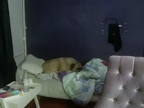 turkishTransEfsun webcam