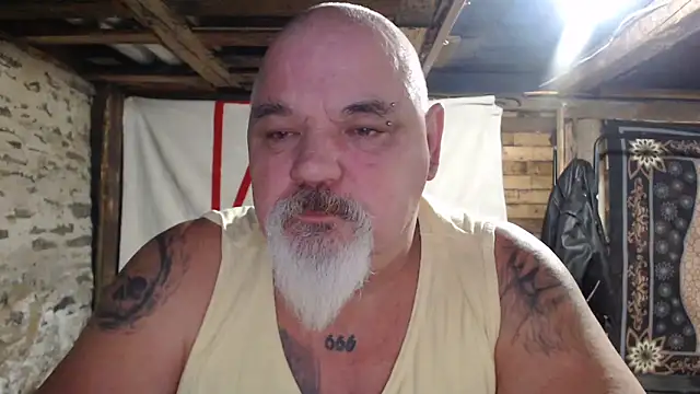 Newfiesausage1972 webcam