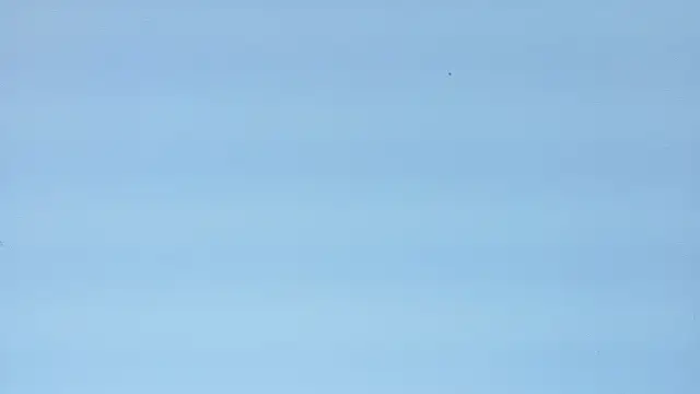 IsabelaANDjordan webcam