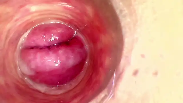 shannon_kinne_ webcam