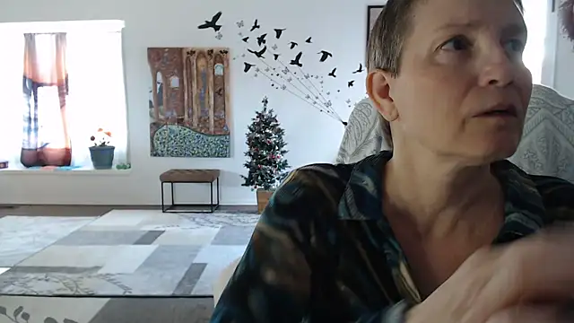 AuroraWillows webcam