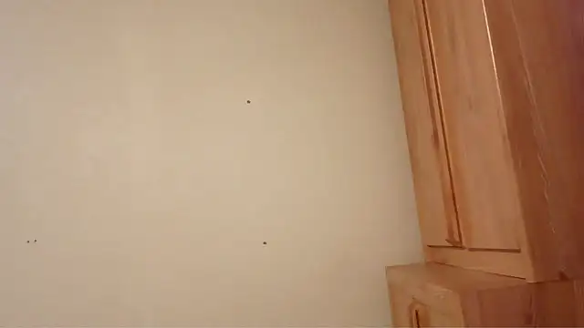 Bikerhot883hd webcam