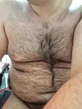 Javier_bear webcam