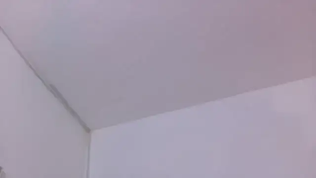 Lizbeth_Rouse webcam