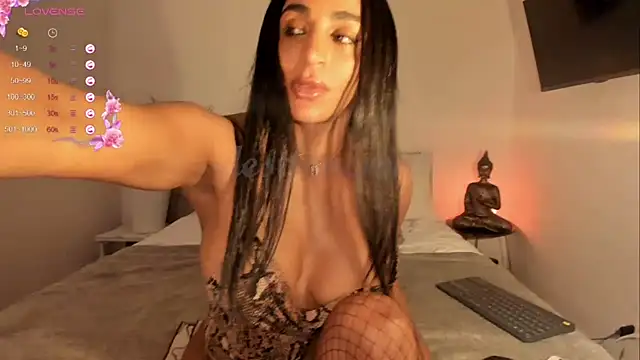 destinne_mill_ webcam