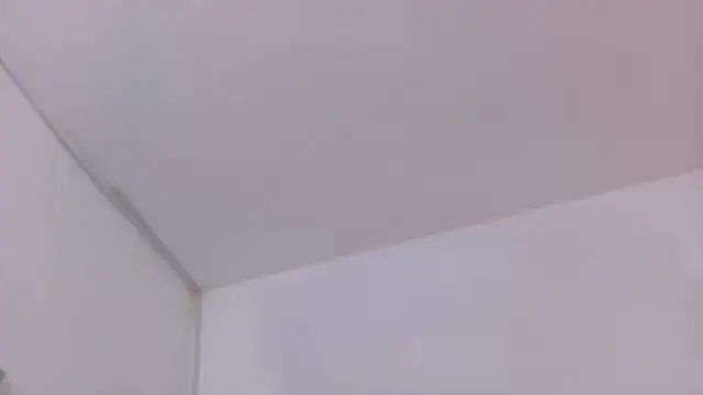 Lizbeth_Rouse webcam