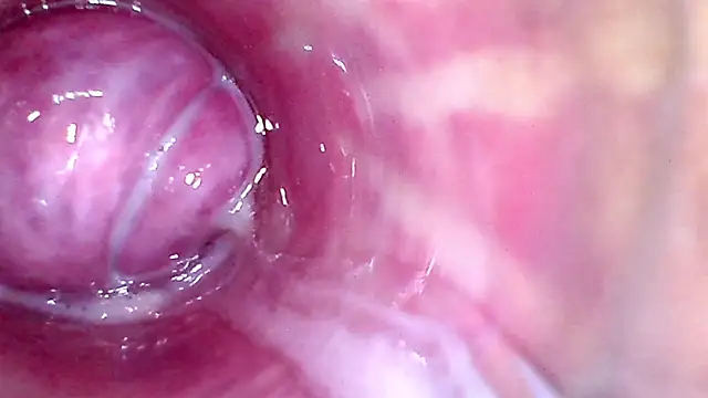 shannon_kinne_ webcam