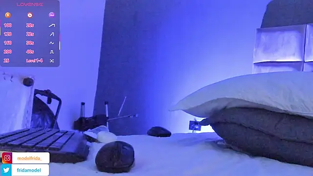 _frida1 webcam