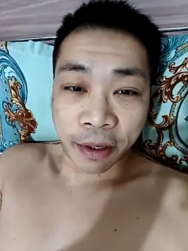 DDYY12341 webcam