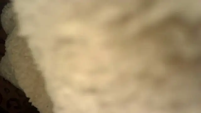 SEXYLIGHTBITCH webcam