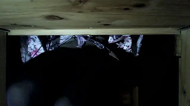 Afbeelding van guoniuniu99