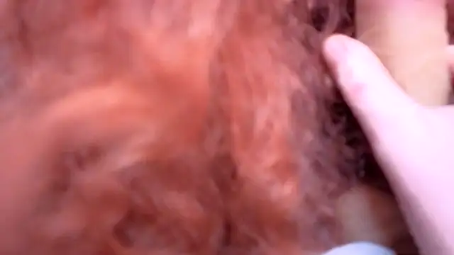 ENGLISHEMILY_69 webcam