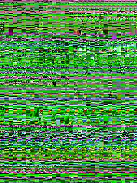 bamby_safre (F young) - Decoro  mis pezones 🤞🤞🎀🎀🎇✨💟