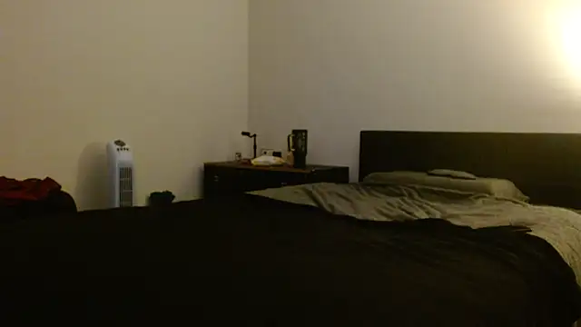 PhoenixTears93 webcam