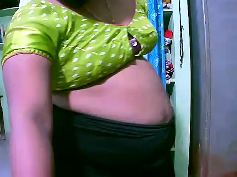 Potti-model-81 webcam