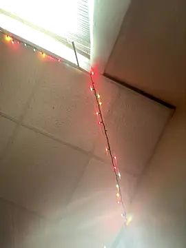 PittsburghKing webcam